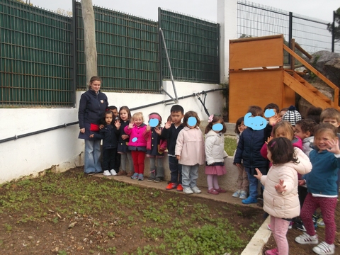 Plantação de morangos, tomate cherry e tulipas da holanda