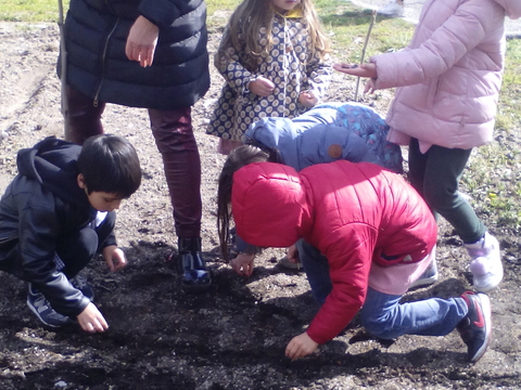 Alunos (do Jardim de Infância) - parceiros do Clube Eco-Escolas a ajudarem nas primeiras sementeiras!