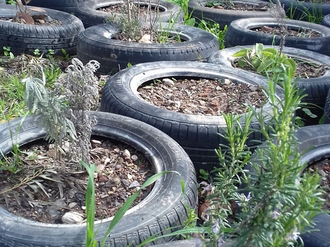 Zona das Aromáticas, junto ao compostor.