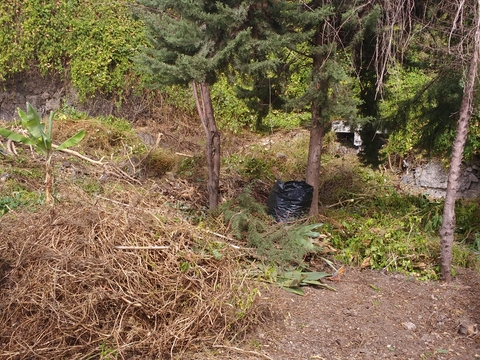 - Terrenos baldios para futuro jardim e hortas biológicas.