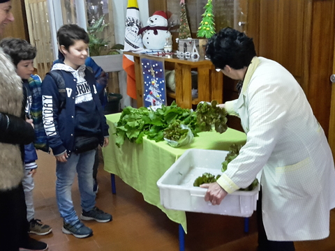 venda de produtos hortícolas da horta