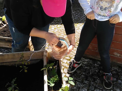 Depois de tudo pronto, regámos os nossos canteiros coma água que tínhamos recolhido da chuva...tudo se aproveita, na nossa Eco-Escola.