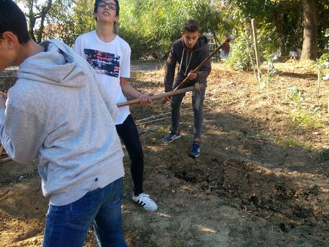 Preparação do terreno