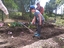 Transplante de flores, legumes e frutos