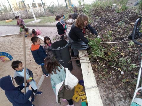 Limpeza das plantas invasoras do terreno da horta