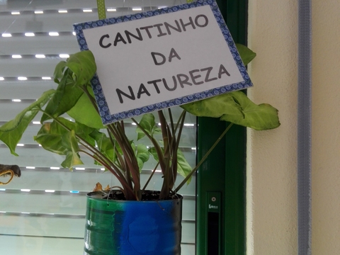 Criação em sala de atividades de cantinhos da Natureza