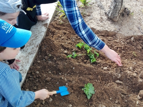 Criação de horta no logradouro do Jardim de Infância