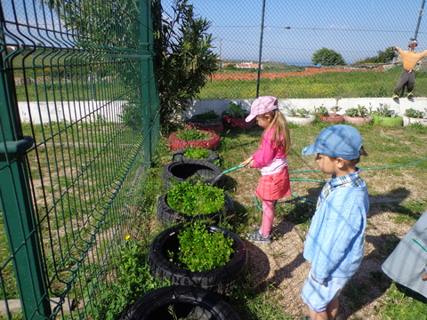 As plantinhas cresceram após algum tempo e manutenção de todos...