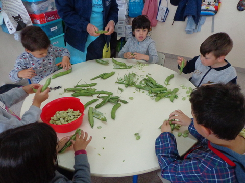 Durante a preparação das favas...o descascar..., lavar...foi sempre realizado com os alunos em pequenos grupos...