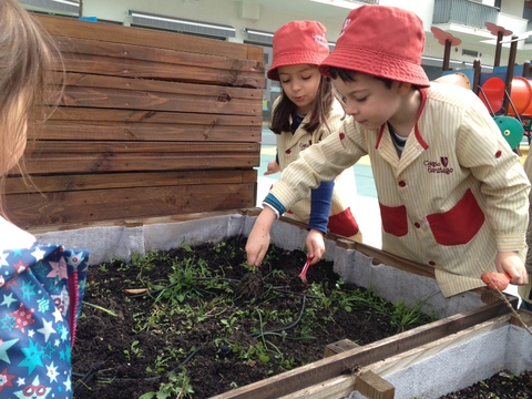 Preparação da horta para novas plantações