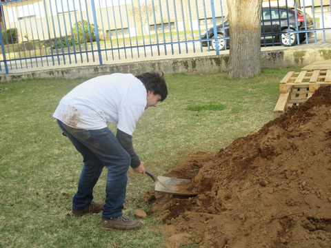 A segunda equipa entra a trabalhar, colocando a terra no que será a “Nossa Horta Biológica”.