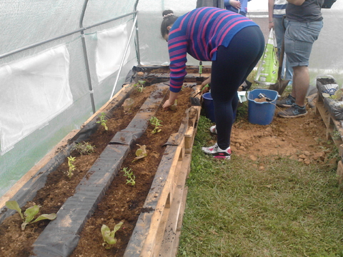 Terra colocada, plantas semeadas e plantadas, toca a cuidar delas.