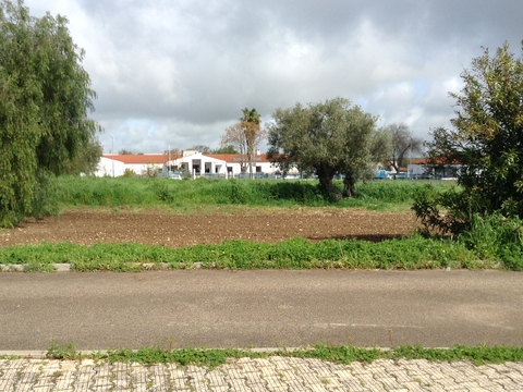 Terreno destinado à Horta Biológica após limpeza pela autarquia.