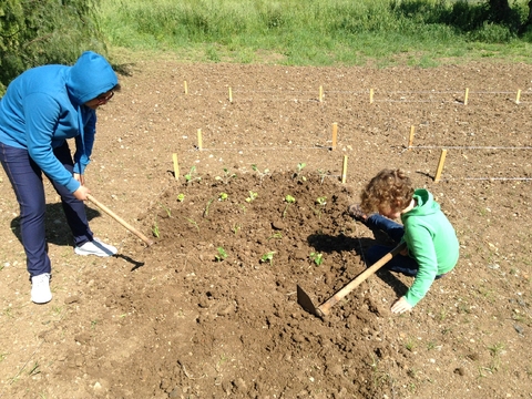 Início da plantação dos produtos da horta.