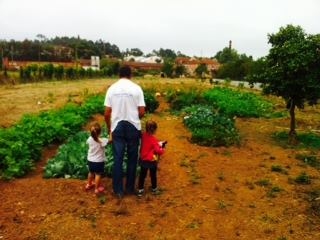 Fotografia tirada no início do ano letivo na nossa horta.