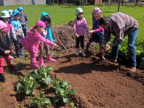 Plantação das sementes disponibilizadas pelo AKI.