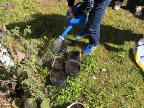 As crianças regaram o recipiente onde foram colocadas as sementes