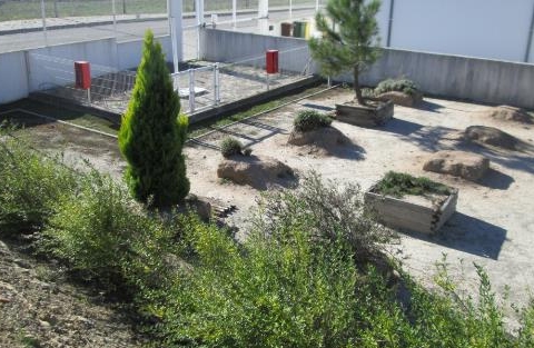 Usámos um espaço atrás da escola, junto ao parque infantil e que já teve alguns canteiros, para dar início à nossa horta.