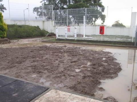 Limpámos o terreno: retirámos os canteiros velhos, transplantámos as árvores e os arbustos. Nessa altura choveu muito e o terreno ficou alagado.