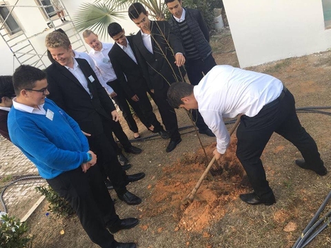 Plantação de amendoeiras - turma de TSRB 1º ano