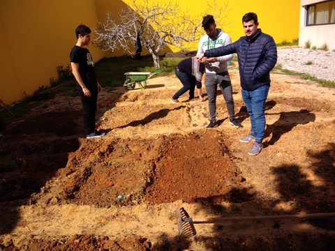 Green Team Gestão e Produção de Cozinha - Divisão do terreno em talhos de acordo com a planta da horta