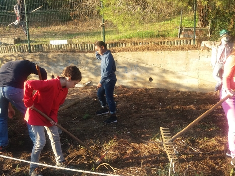 Tempo de lavrar o terreno para a nossa horta.