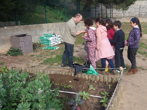 A tirar o adubo do compostor e amisturar com fertilizante.