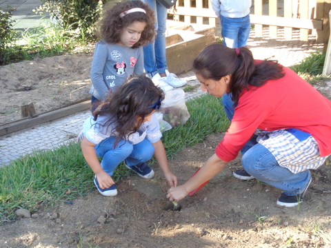 Na nossa horta, os alunos plantaram alfaces