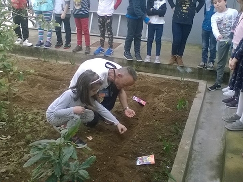 Sementeira de plantas ornamentais.