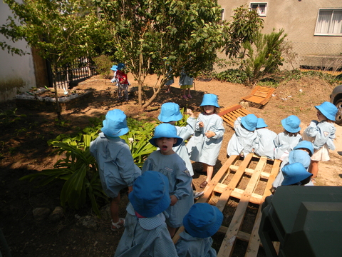 Com paletes construimos um compostor para recolher e transformar as ervas e folhas da horta e as cascas das frutas e legumes vindos da nossa cozinha