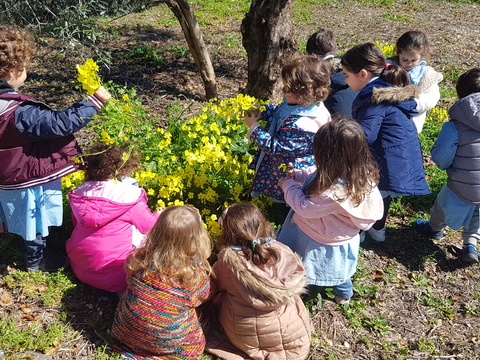 Depois de muitos dias a chover e a fazer frio fomos á horta ver como estavam as nossas plantas.