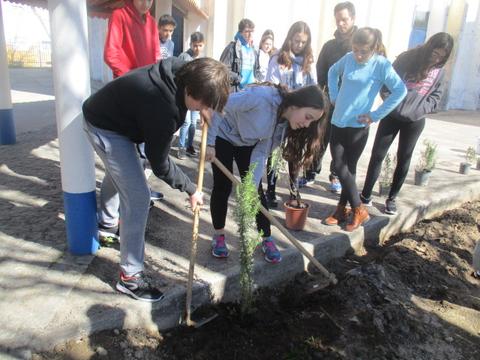 A nossa horta biológica- inicio da plantação de plantas aromáticas.