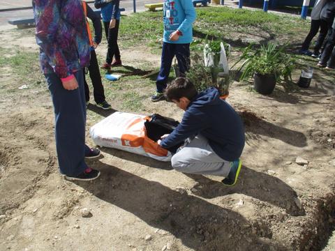 Tivemos que adubar as nossas plantas.