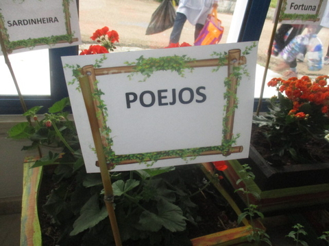 Poejos