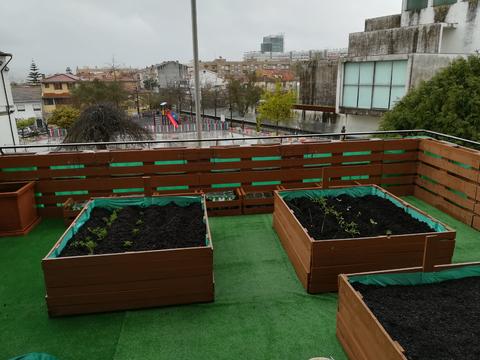 E assim concluímos a construção da nossa horta pedagógica. Agora é só cuidar e manter, para ver os nossos vegetais crescer.