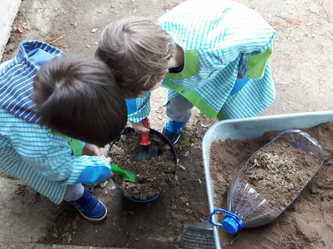 Reutilizámos garrafões para plantar e semear