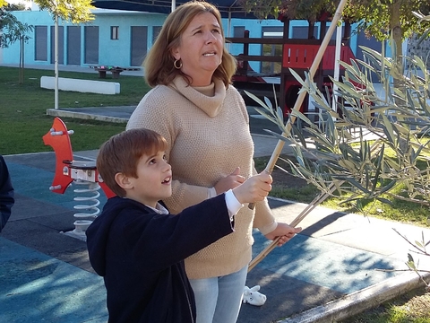 A nossa oliveira estava cheia de azeitonas. Pela primeira vez, aprendemos a varejar e apanhámos muitas azeitonas, que depois foram distribuídas pelas famílias dos alunos das turmas do 2.º ano.