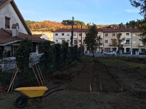 Local do sementário das espécies vegetais.