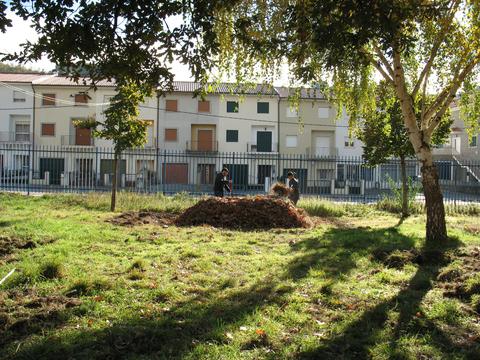 Pilha de compostagem.