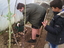 EBSCC Horta Bio (Estufa) - plantação de couves trazidas por um dos alunos numa das secções já preparadas para o efeito.