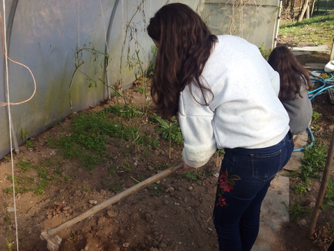 Preparação da terra. Utilização de composto.