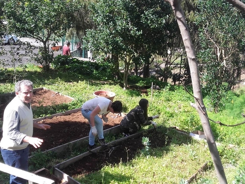 Preparação dos terreno e sua limpeza.