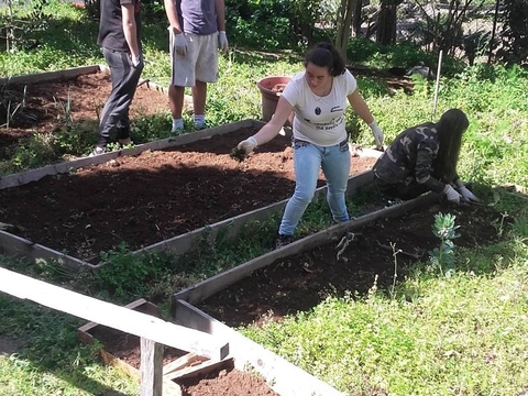 Preparação dos terreno e sua limpeza.