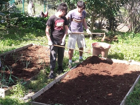 Preparação dos terreno e sua limpeza.