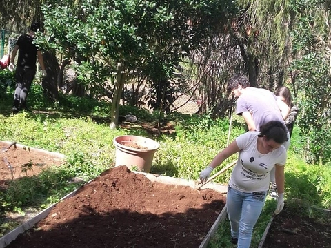 Preparação dos terreno e sua limpeza.