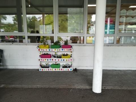 Enquadramento da Horta no recinto escolar.