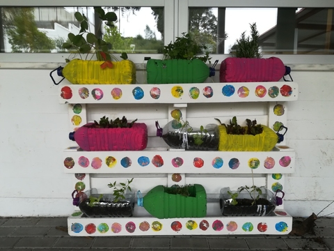 Horta com as plantas em crescimento.