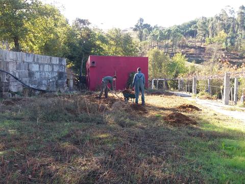 Fertilização do solo com composto orgânico, proveniente de pecuária biológica (ovinos)