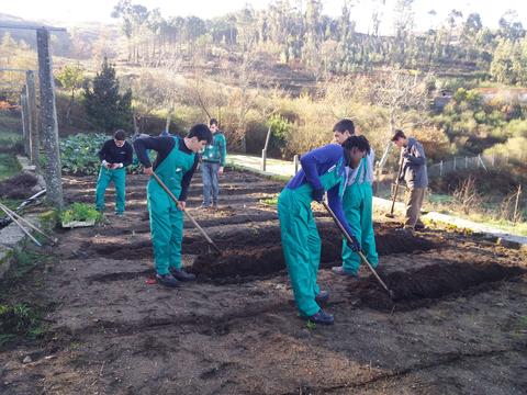 Construção de camalhões para sementeiras.