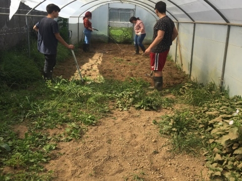 Preparação da terra, início dos trabalhos na horta